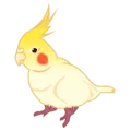 🐦 Burung