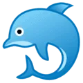 🐬 Lumba Lumba Google