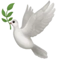🕊️ Merpati Apple