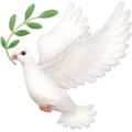 🕊️ Merpati Facebook