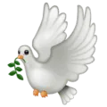 🕊️ Merpati WhatsApp