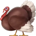 🦃 Kalkun Apple