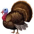 🦃 Kalkun Facebook