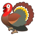 🦃 Kalkun Google