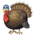 🦃 Kalkun WhatsApp