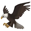 🦅 Elang Samsung