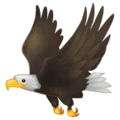 🦅 Elang WhatsApp