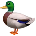 🦆 Bebek Apple