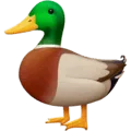 🦆 Bebek Facebook