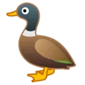 🦆 Bebek Google