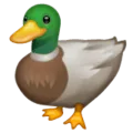 🦆 Bebek WhatsApp