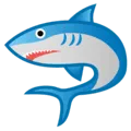 🦈 Hiu Google