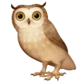 🦉 Burung Hantu Facebook