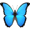🦋 Kupu Kupu Apple