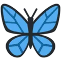 🦋 Kupu Kupu Twitter