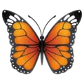 🦋 Kupu Kupu WhatsApp