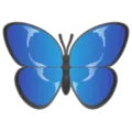 🦋 Kupu Kupu