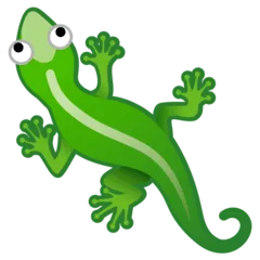 🦎 Kadal Google 2