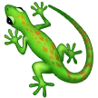 🦎 Kadal Samsung 2