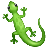 🦎 Kadal WhatsApp 1