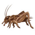 🦗 Jangkrik Emojipedia