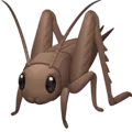 🦗 Jangkrik Facebook