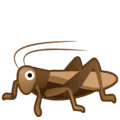 🦗 Jangkrik Google