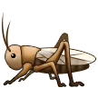🦗 Jangkrik Samsung