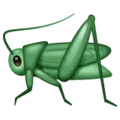 🦗 Jangkrik WhatsApp