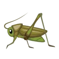 🦗 Jangkrik