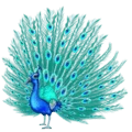 🦚 Merak Emojipedia