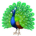 🦚 Merak WhatsApp