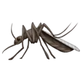 🦟 Nyamuk Emojipedia