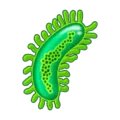 🦠 Mikroba Emojipedia