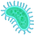🦠 Mikroba Facebook