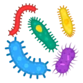 🦠 Mikroba Google