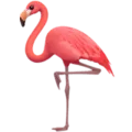 🦩 Flamingo Apple