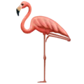 🦩 Flamingo Emojipedia