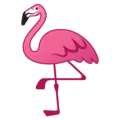 🦩 Flamingo Google