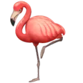🦩 Flamingo WhatsApp