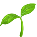 🌱 Bibit Apple