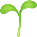 🌱 Bibit Facebook