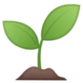 🌱 Bibit Google