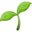 🌱 Bibit Samsung