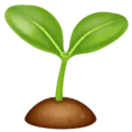 🌱 Bibit WhatsApp