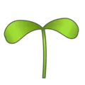🌱 Bibit