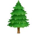 🌲 Pohon Cemara Facebook