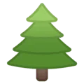 🌲 Pohon Cemara Google