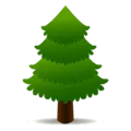 🌲 Pohon Cemara