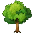 🌳 Pohon Gugur WhatsApp